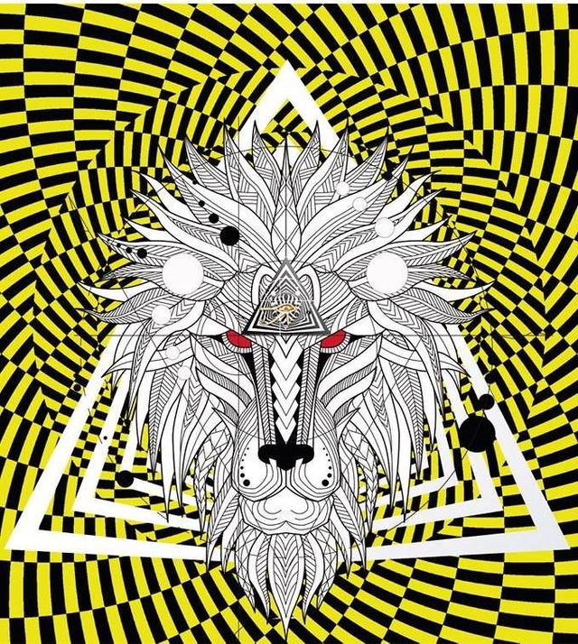Mind Lion'air: foto