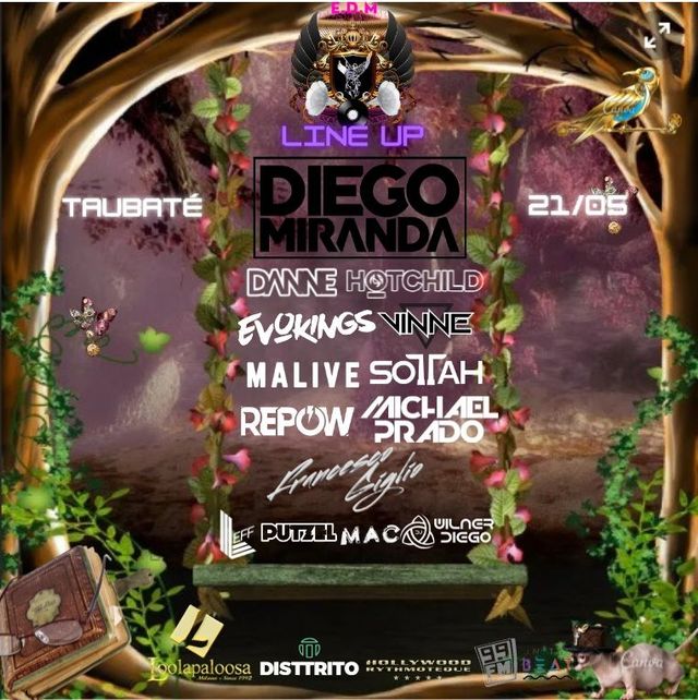 Edm Festival