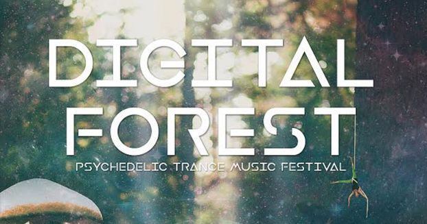 Digital Forest Festival