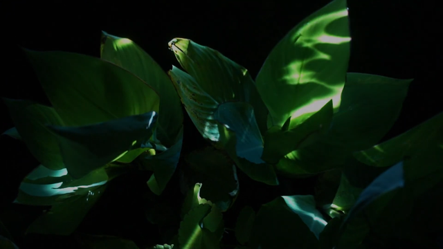 ILUMINOUS: foto 11