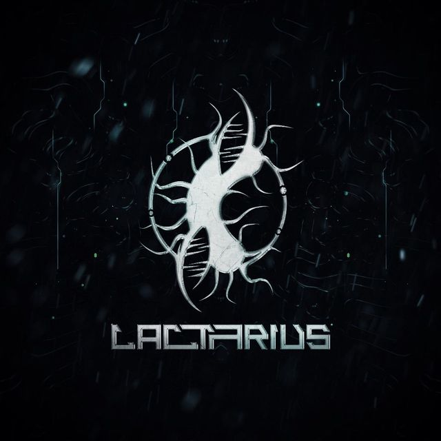 Lactarius: foto