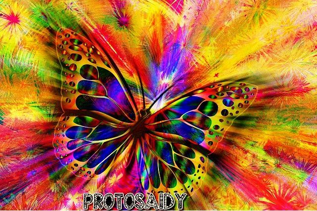 ProToSaidY: foto