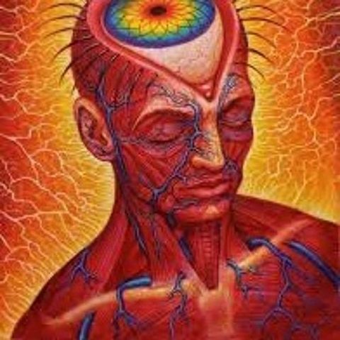 mind in transition