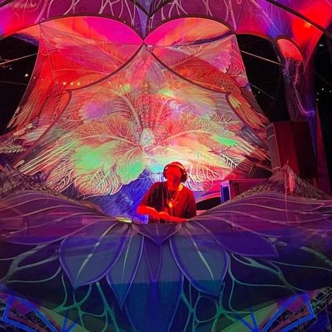 Future Forest Festival 2025