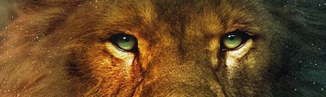 Lion Hoppe: foto 8