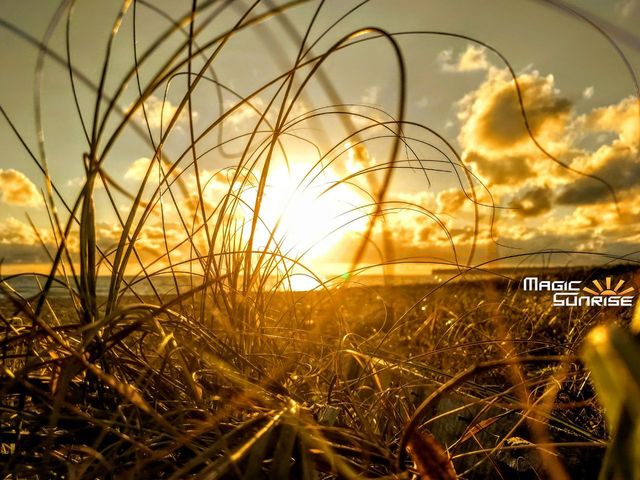 Magic Sunrise: foto