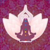 Cosmo Holos - Terapeuta Nay Fava
