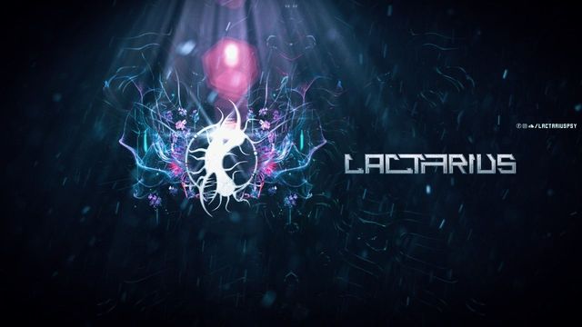 Lactarius: foto