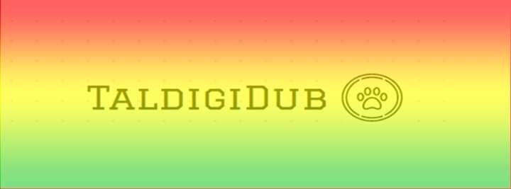 TalDigiDub: foto