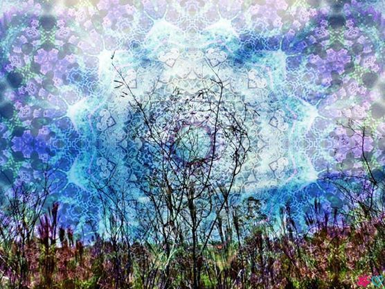 Violet Cosmic Love: foto 4
