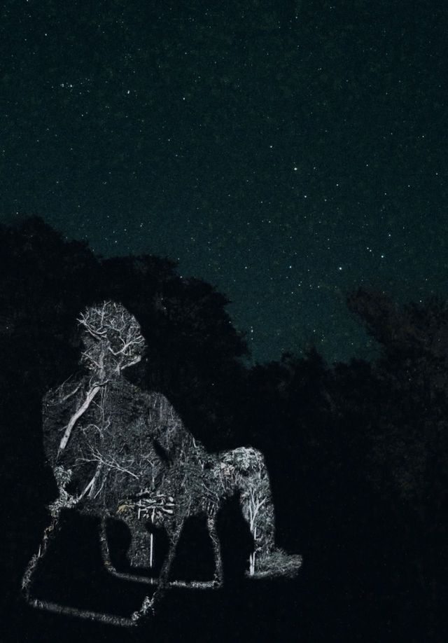 ILUMINOUS: foto 9