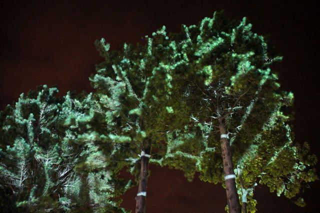 ILUMINOUS: foto 3