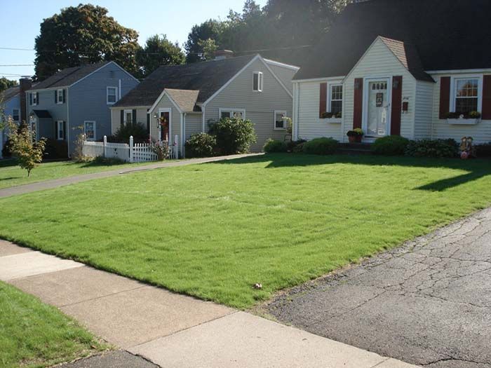 A row of houses with a lush green lawn in front of them