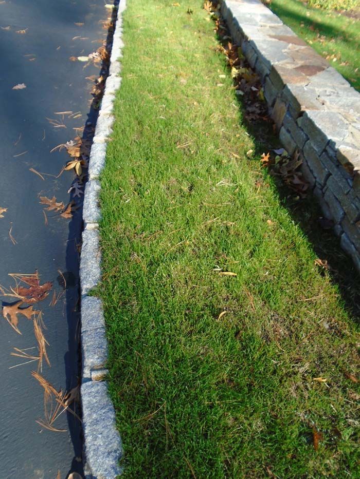 A sidewalk with grass and leaves on it