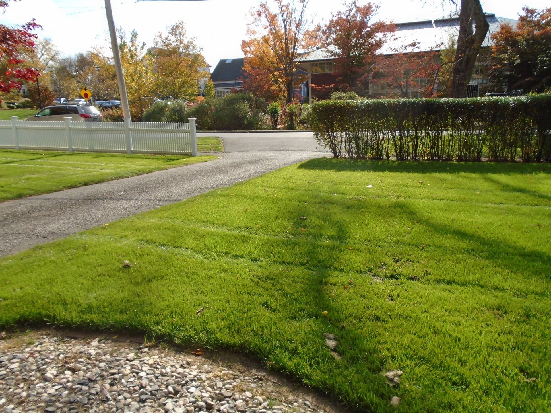 A lush green lawn with a gravel path going through it