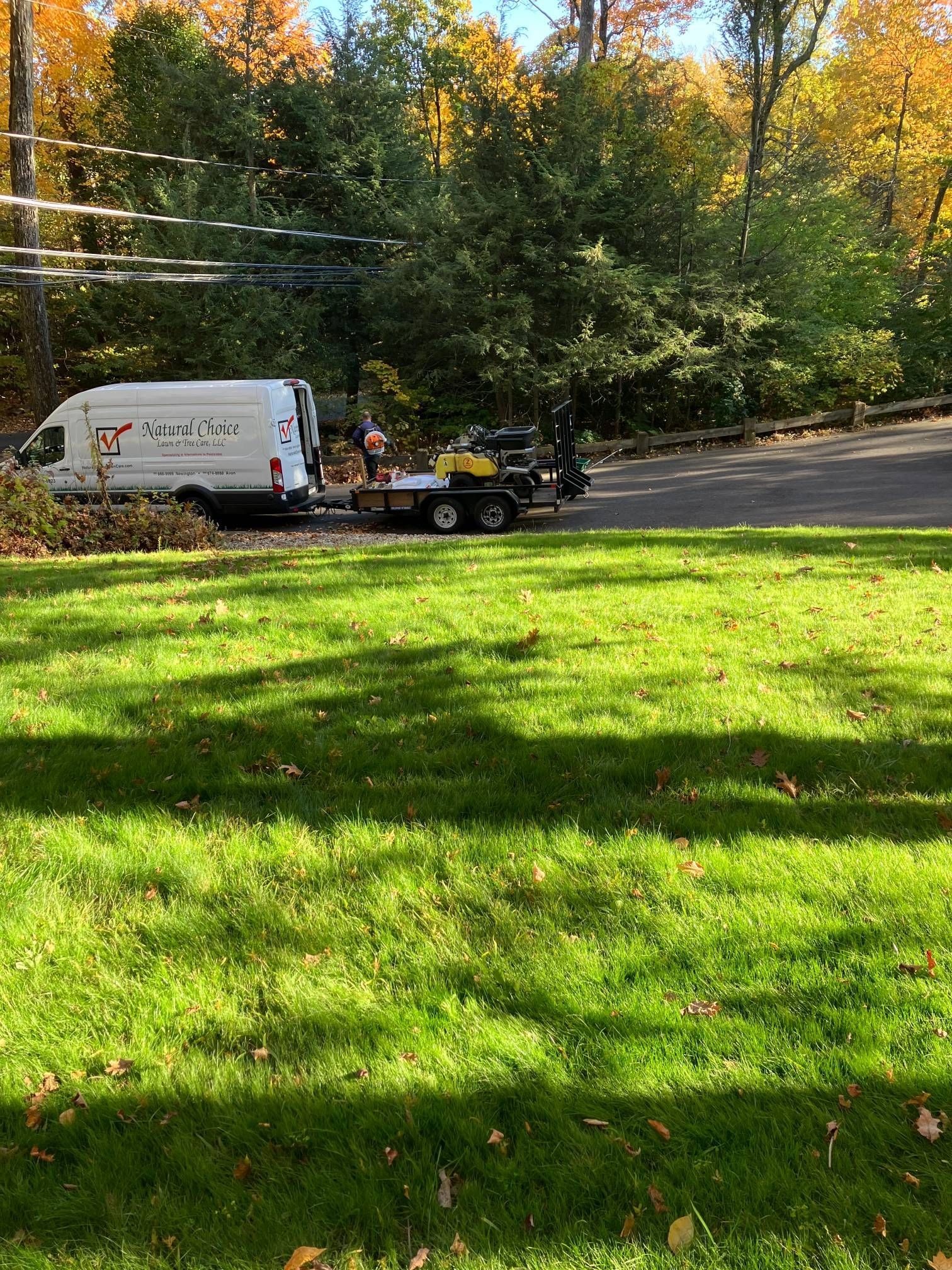 A white van is parked in the middle of a lush green field.
