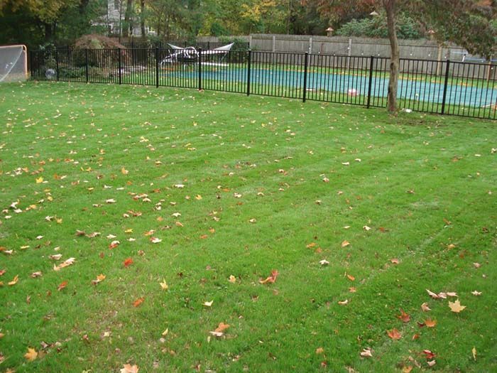 A lush green lawn with a pool in the background