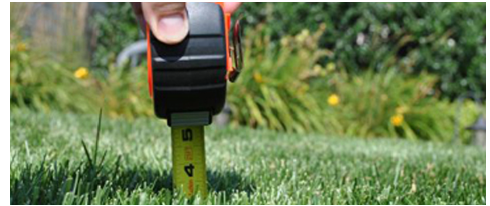 A person is measuring the height of a lawn with a tape measure.