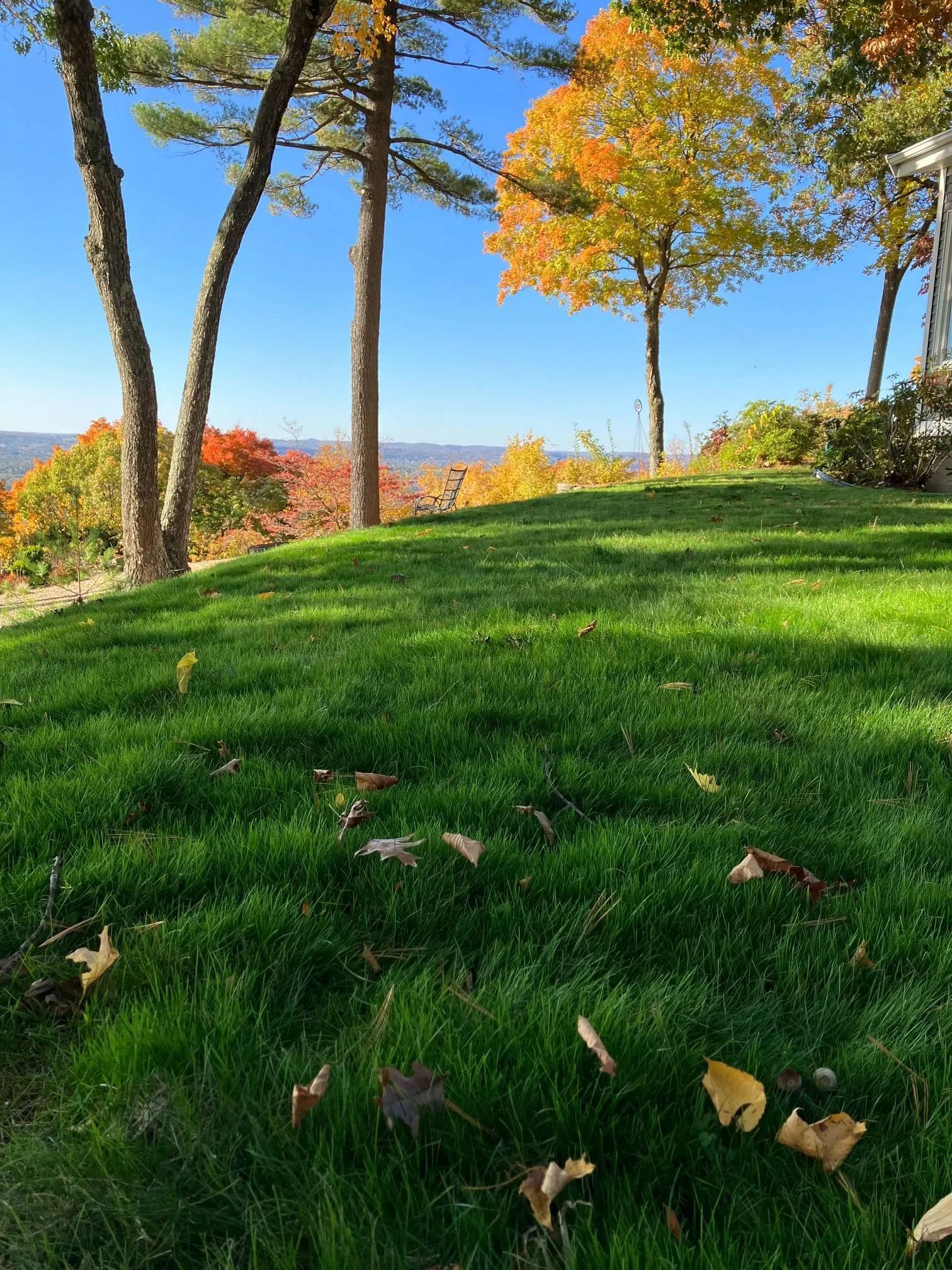 A bright green grassy hill with fallen autumn leaves overlooking a valley of colorful fall trees under a clear blue sky.