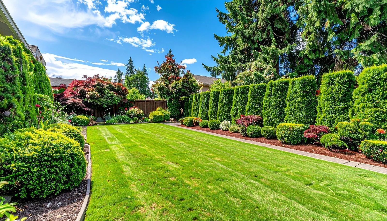 Manicured green lawn bordered by trimmed hedges and trees under a bright blue sky