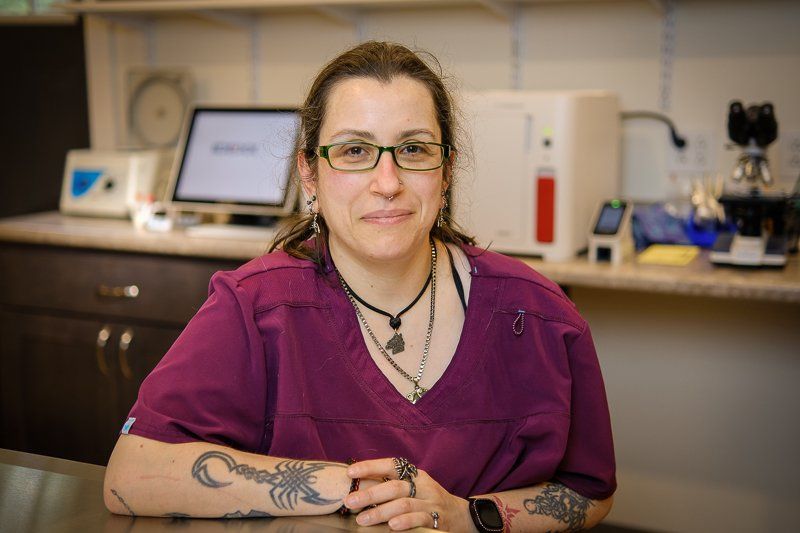staff member of NEK Community Animal Hospital