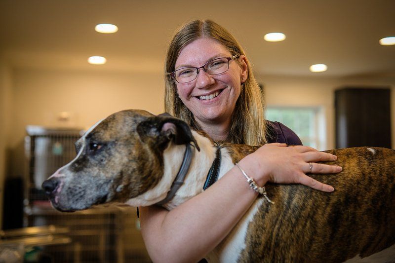staff member of NEK Community Animal Hospital