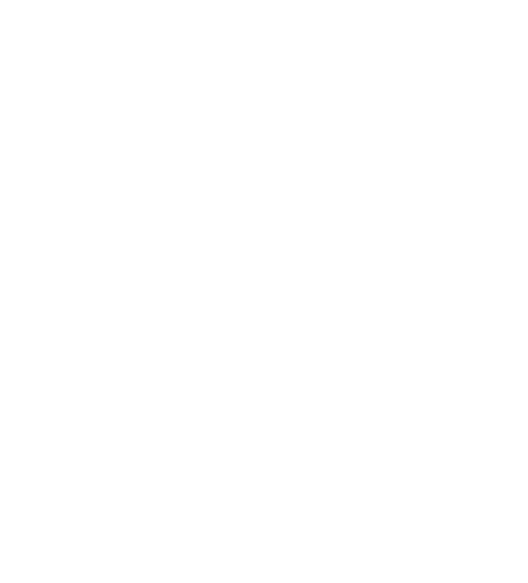 NEKCAH logo footer
