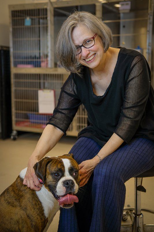staff member of NEK Community Animal Hospital