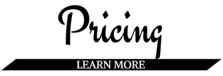“Pricing” headline with a black “LEARN MORE” banner underneath