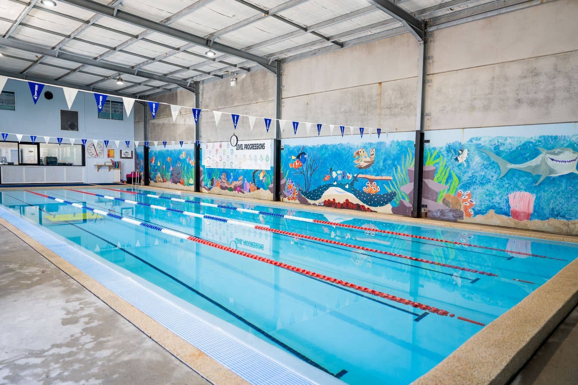 Mural Painted Next To Swimming Pool — North Wyong Aqua Centre In Wyong, NSW