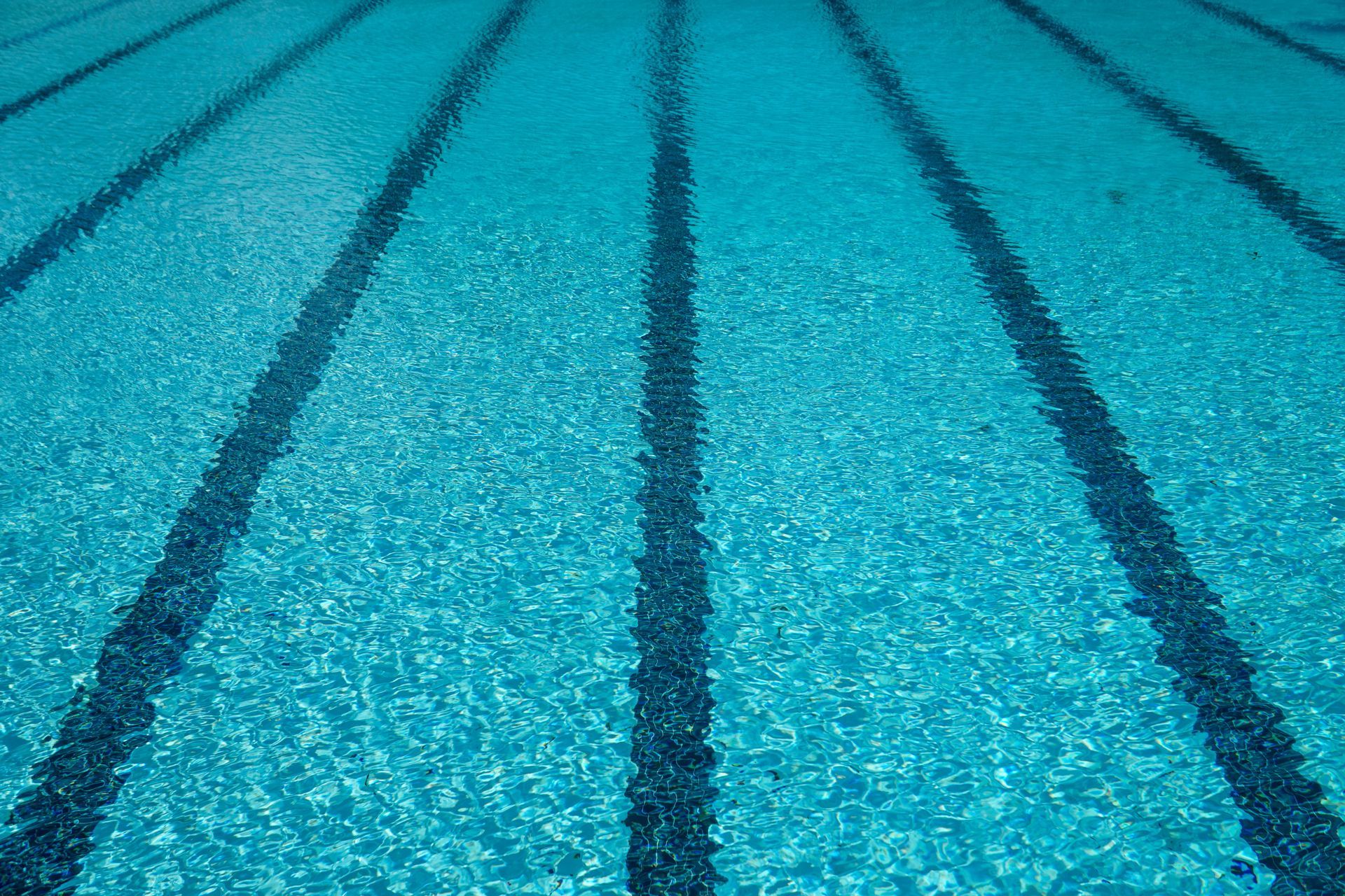 A Close Up of a Swimming Pool With Blue Water and Black Lines — North Wyong Aqua Centre In Wyong, NSW