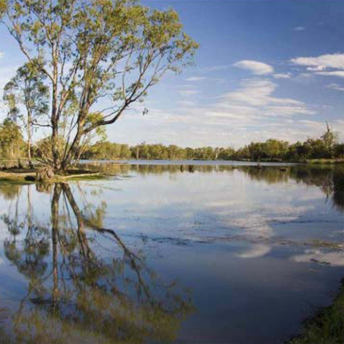 Bruce's Bend Marina Article - The Naming of Nichols Point