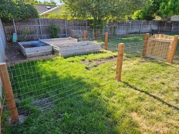 Backyard garden with raised beds, wooden posts, and wire fencing in a sunny lawn.