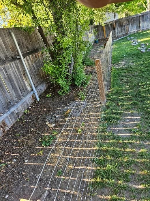 Wooden fence and narrow grassy path beside a small wire garden trellis in a backyard
