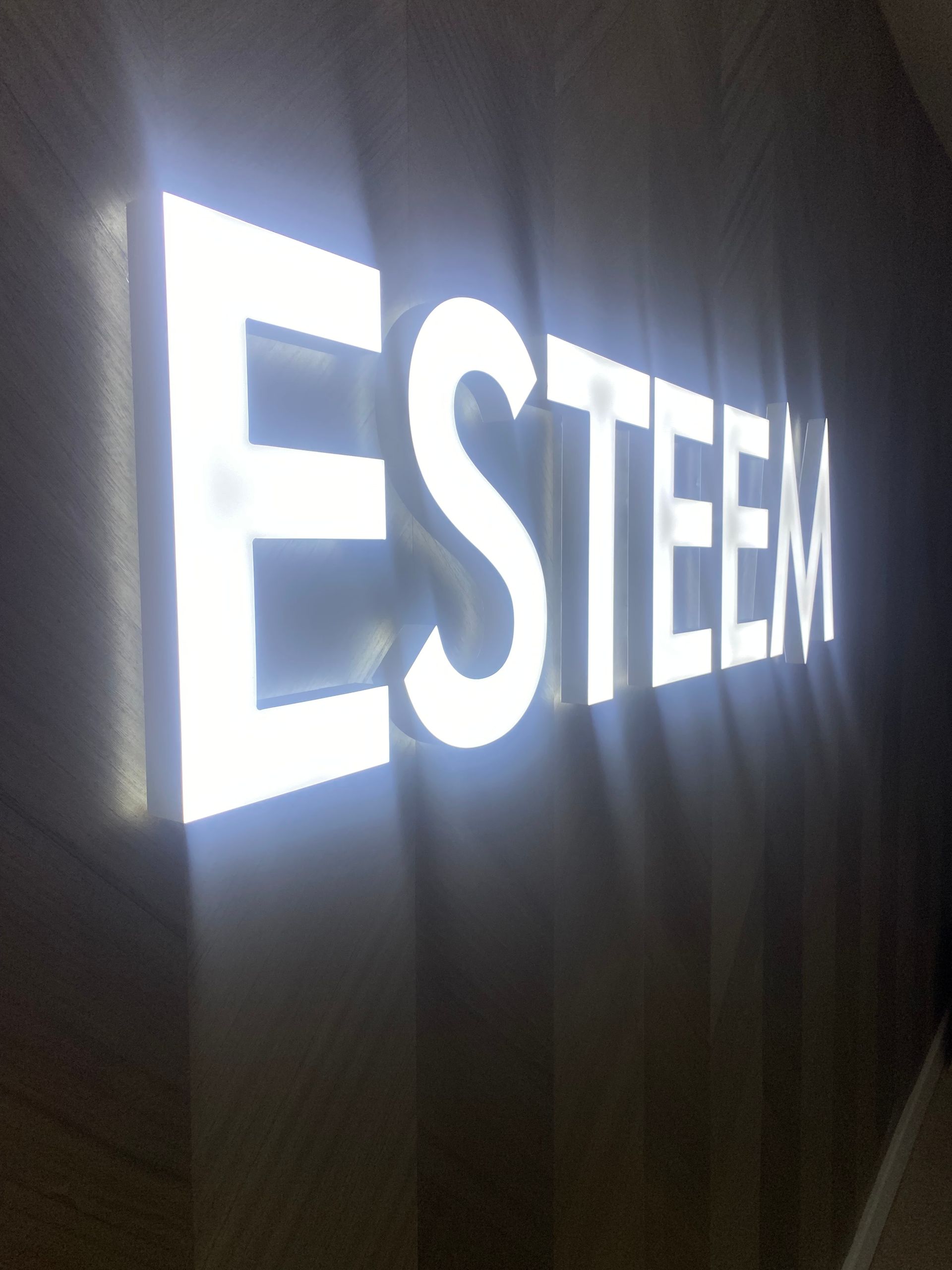 HLB Signs - sign design services - light up letters close up 