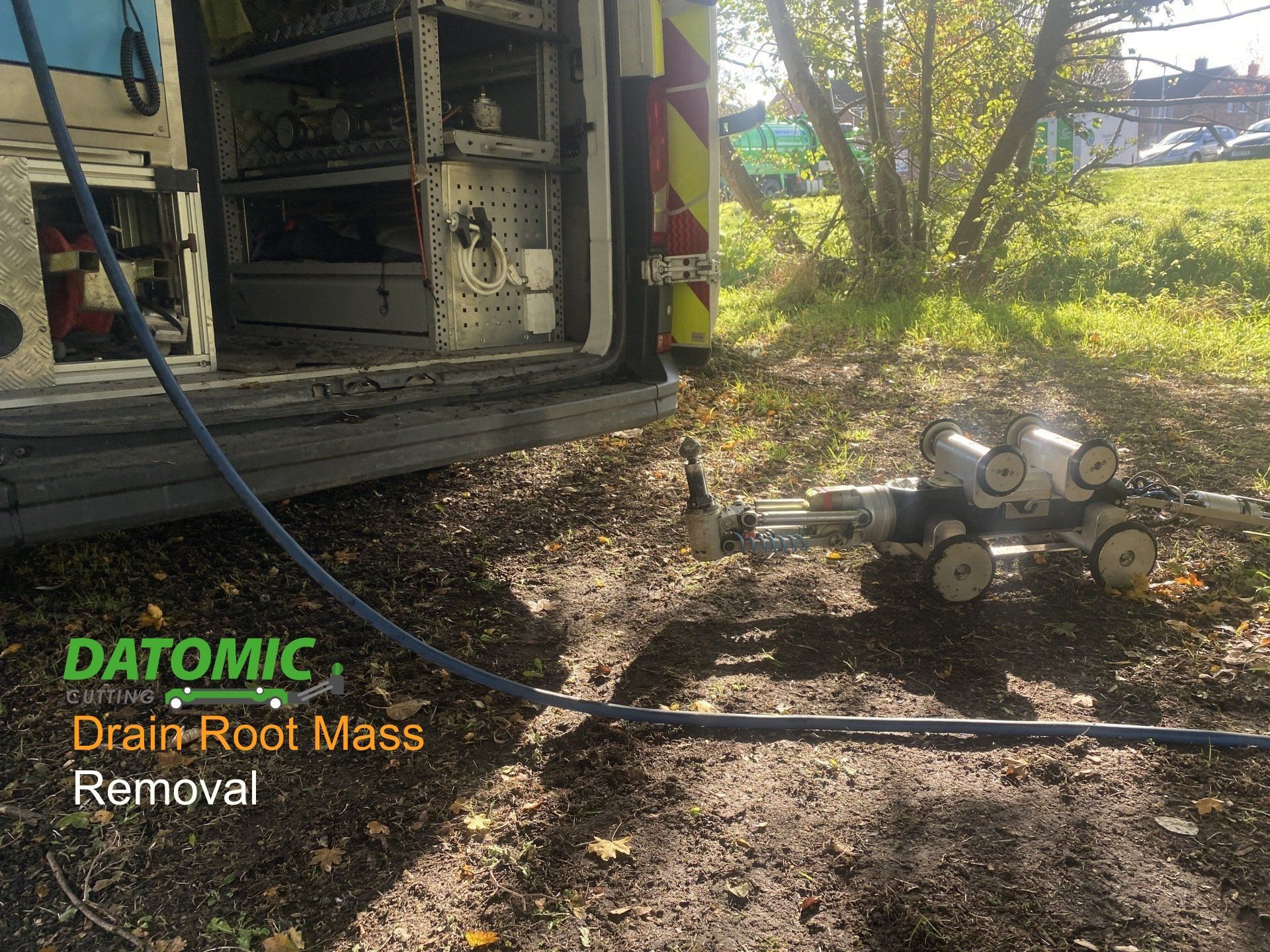 Tree Root Removal
