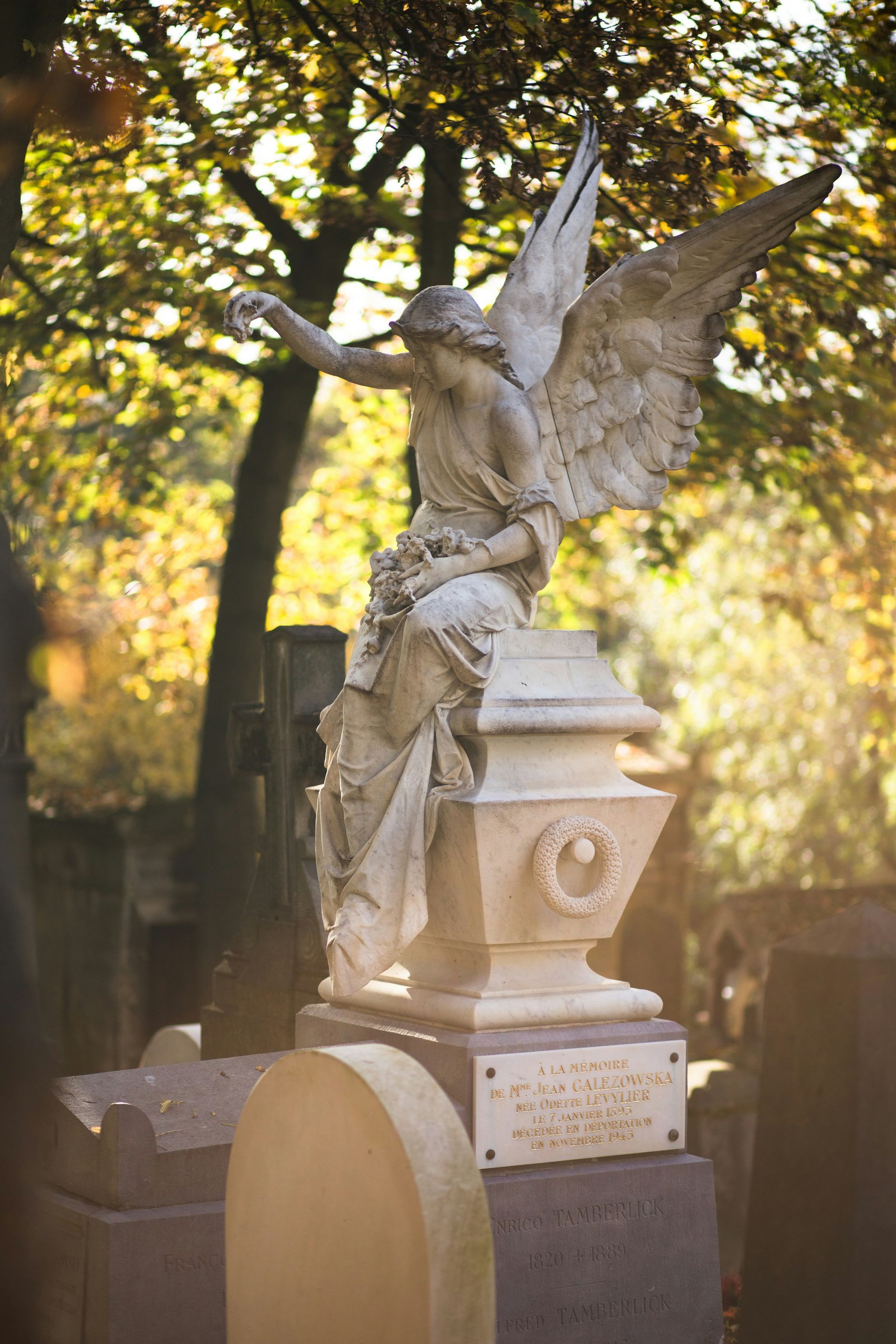 Angel statue atop a cemetery gravestone, lit by warm sunlight under trees.