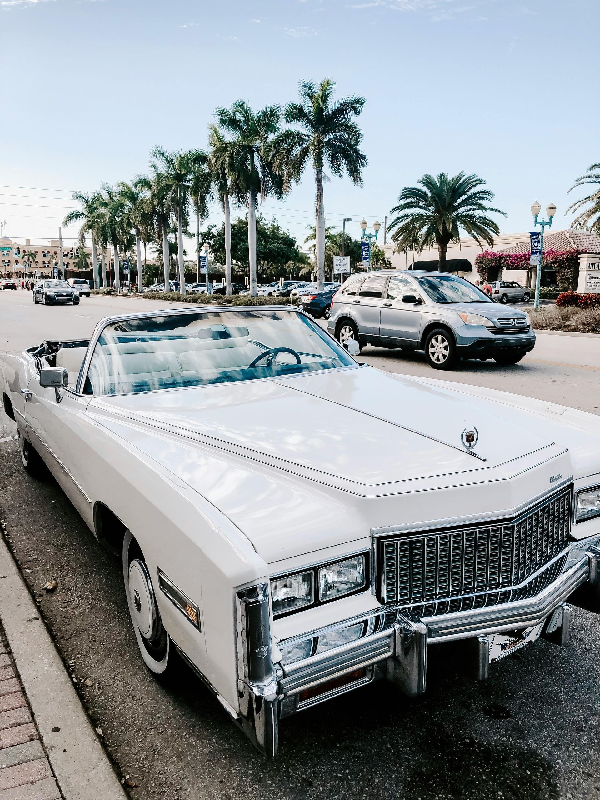 White vintage convertible parked by palm trees and other cars in a sunny lot.