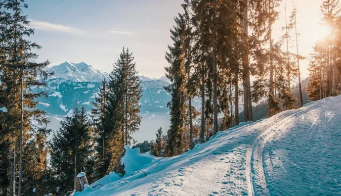 A snowy path going through a forest with mountains in the background.