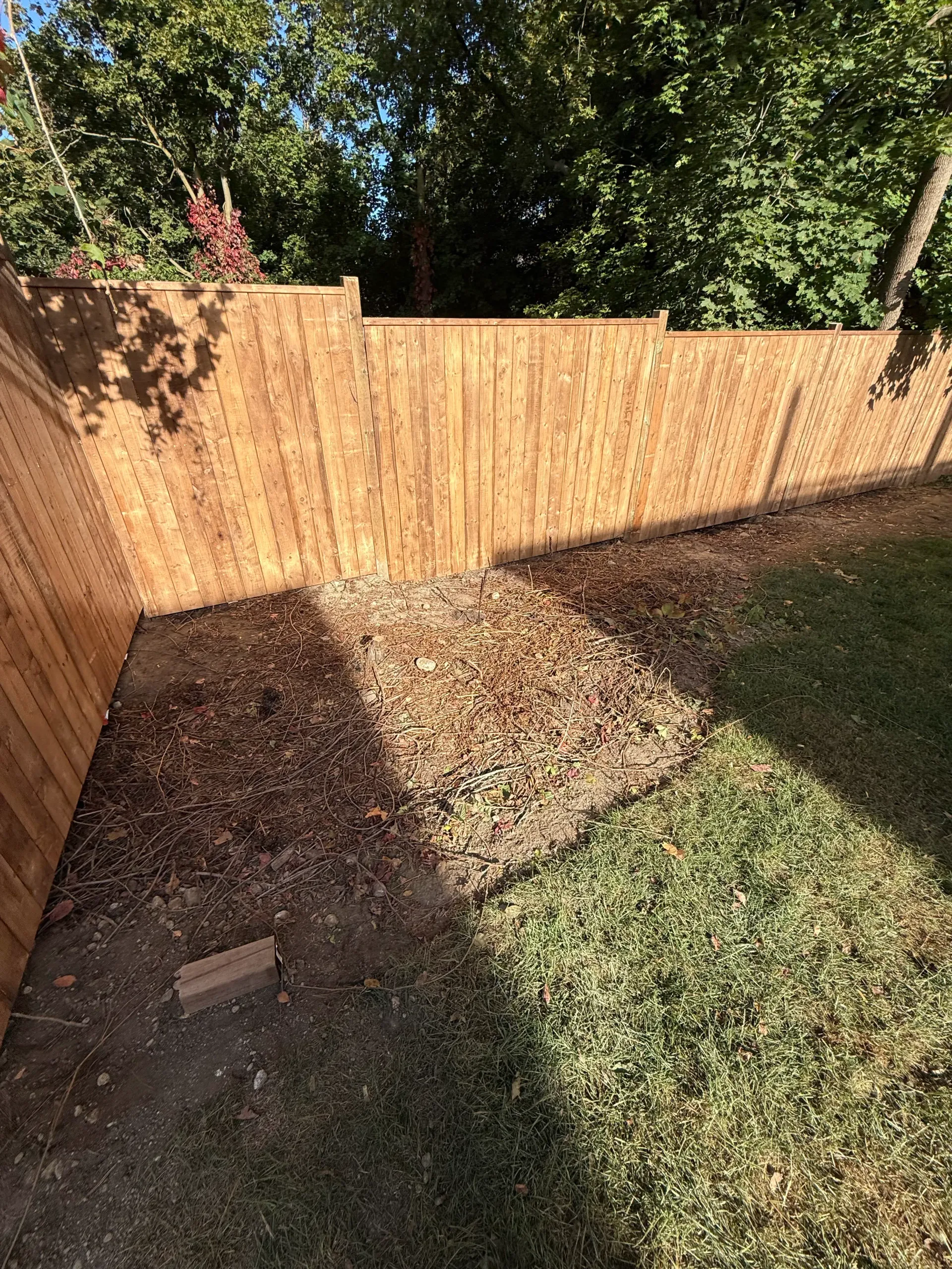 Wooden fence surrounds an empty patch of dirt covered in fallen leaves, beside a patch of green grass.