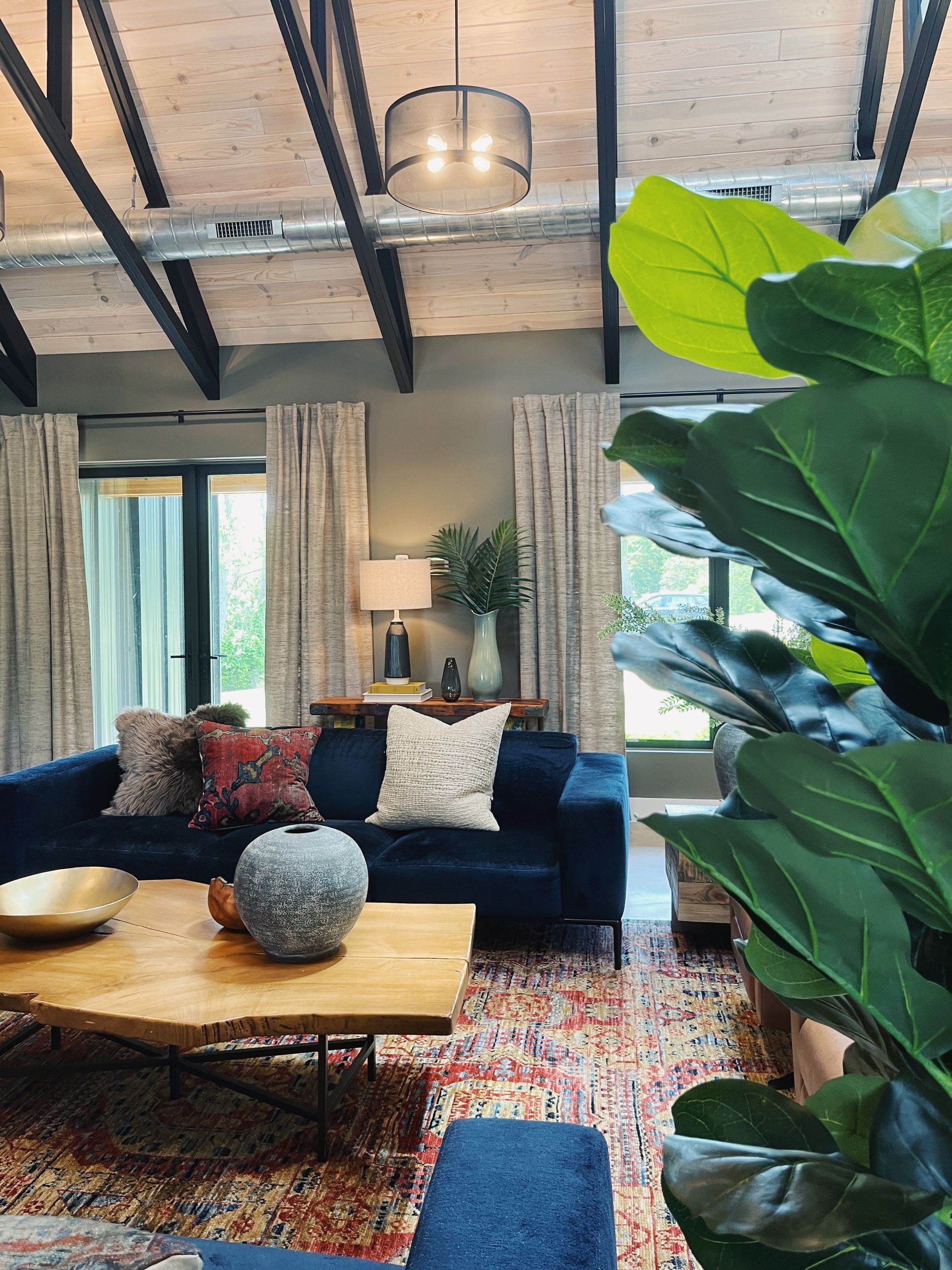 Stylish living room with blue sofa, wood coffee table, patterned rug, and large green plant by exposed ceiling beams