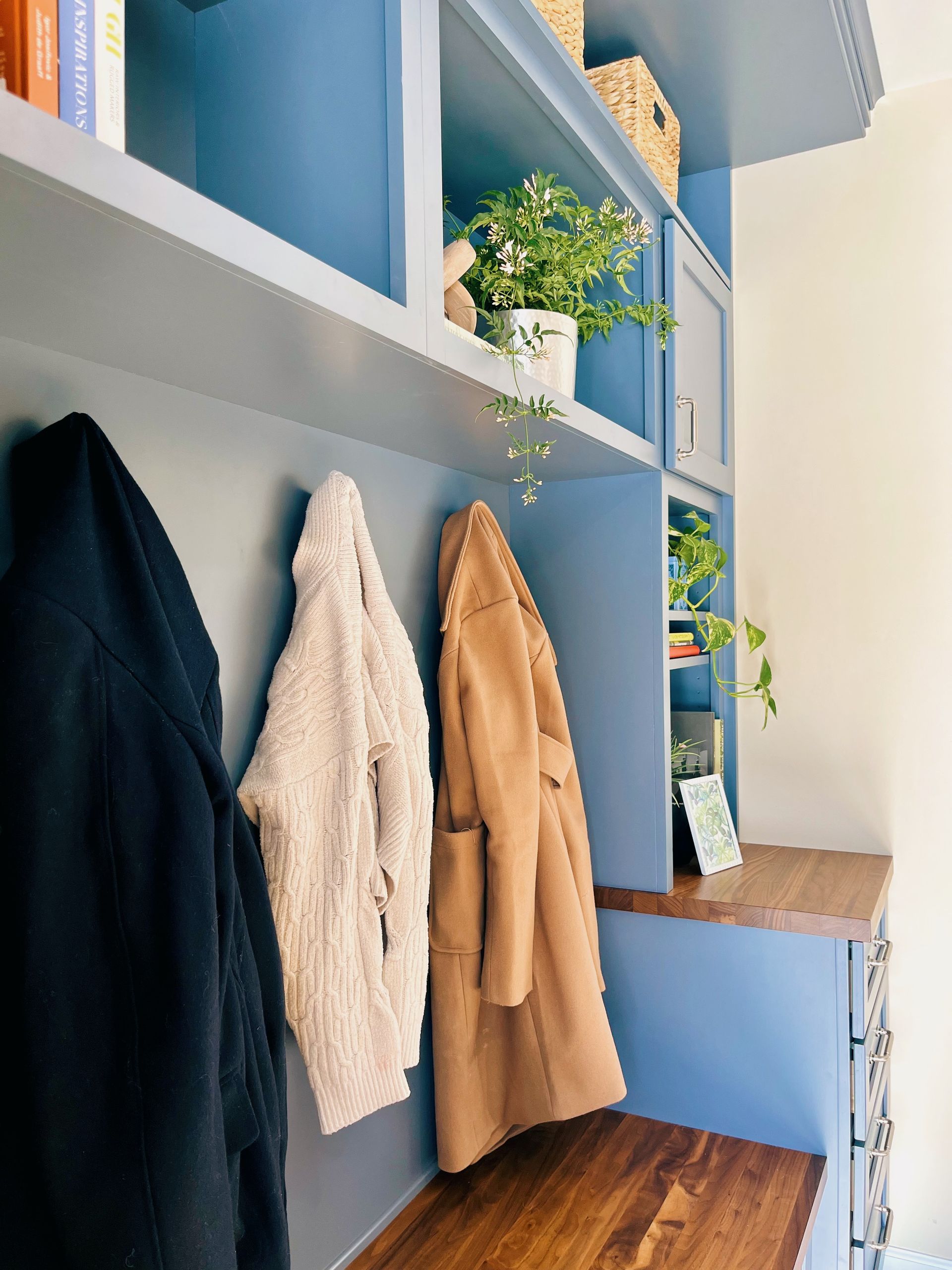 Coats hanging on wall hooks in a blue entryway with shelves and potted plants