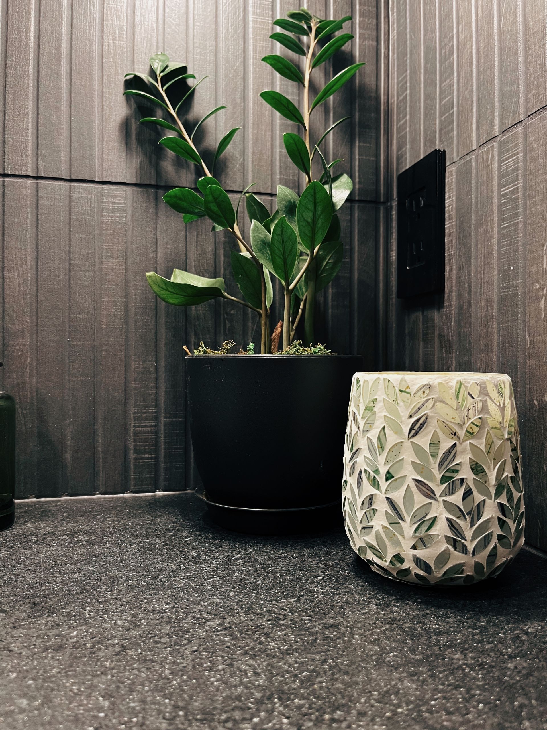 Potted plant beside a patterned stool on a speckled floor against a gray wall