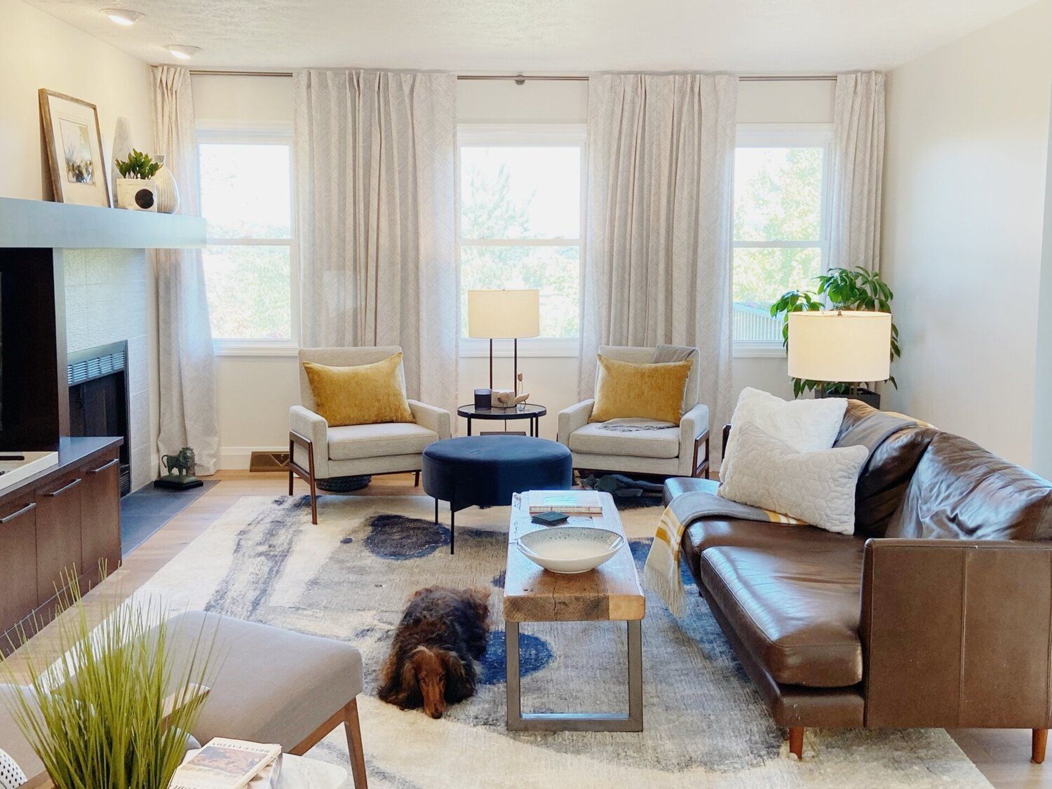 Bright living room with leather sofa, two chairs, large windows, and a small dog on the rug