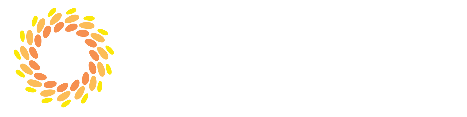 seniorsurance logo medicare insurance florida