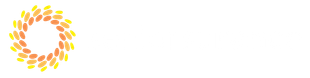seniorsurance logo medicare insurance florida