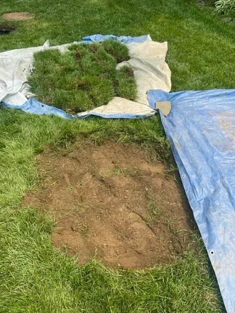 A patch of dirt in grass, with cut sod and a blue tarp.