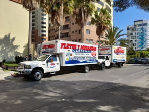 FLETES Y MUDANZAS CÁRDENAS- fletes
