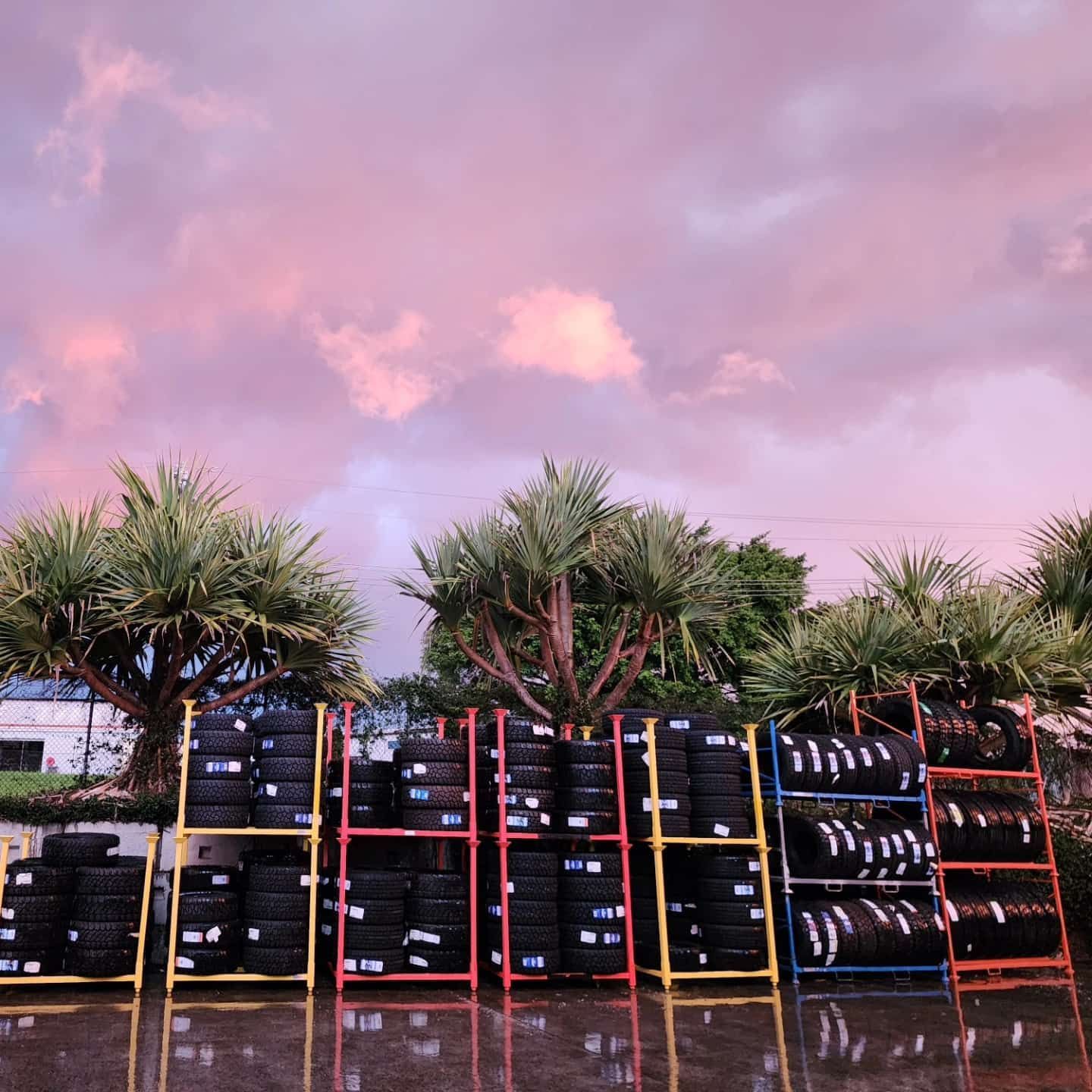Tyres Stacked on Colorful Racks Outdoors — Plateau Tyres in Lennox Head, NSW