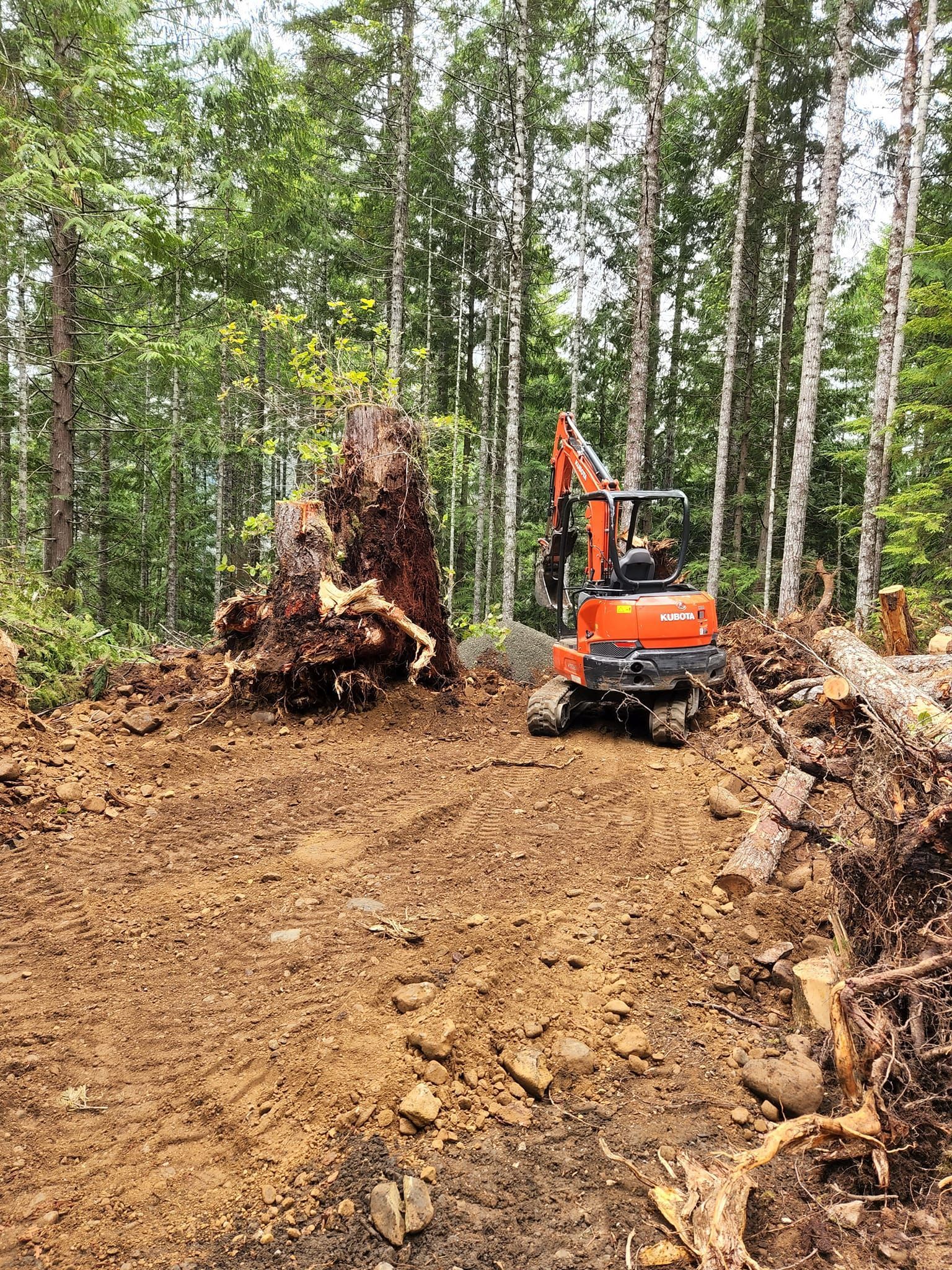 Excavation Contractor in Port Orchard Serving Kitsap County, Mason County, and Gig Harbor
